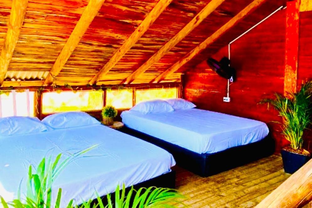 Tamarindo Beach Hostel Taganga Dış mekan fotoğraf