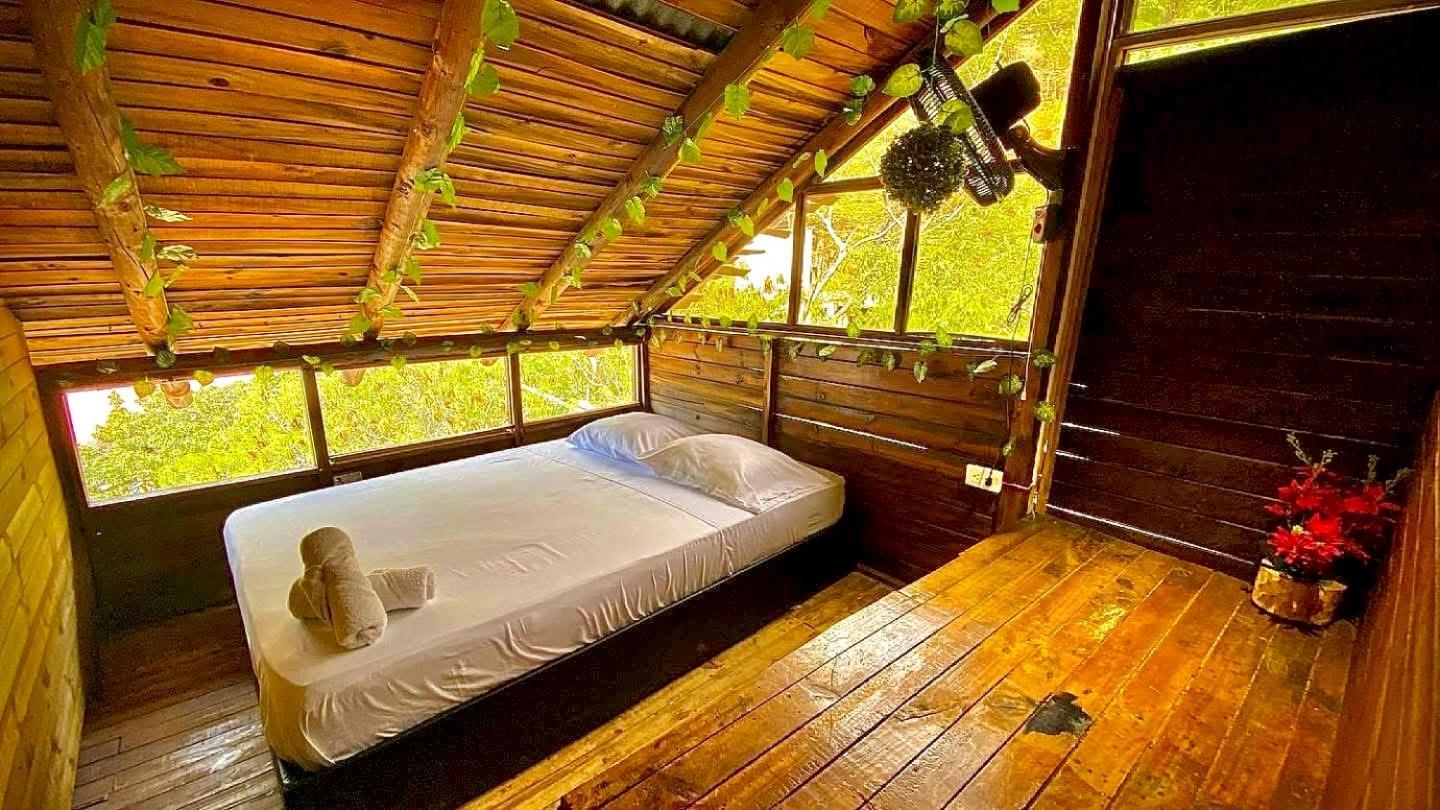 Tamarindo Beach Hostel Taganga Dış mekan fotoğraf